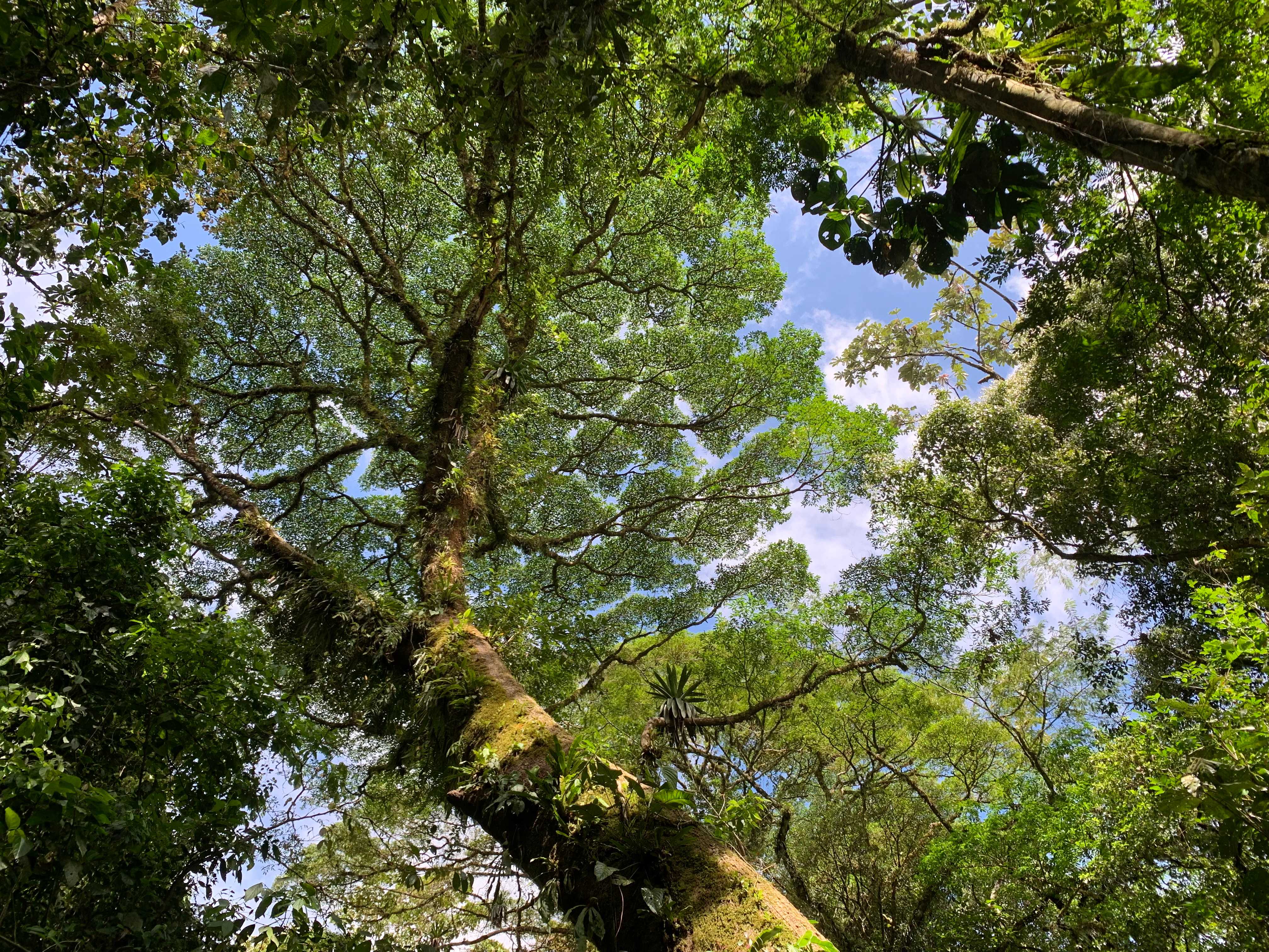 Costa Rica